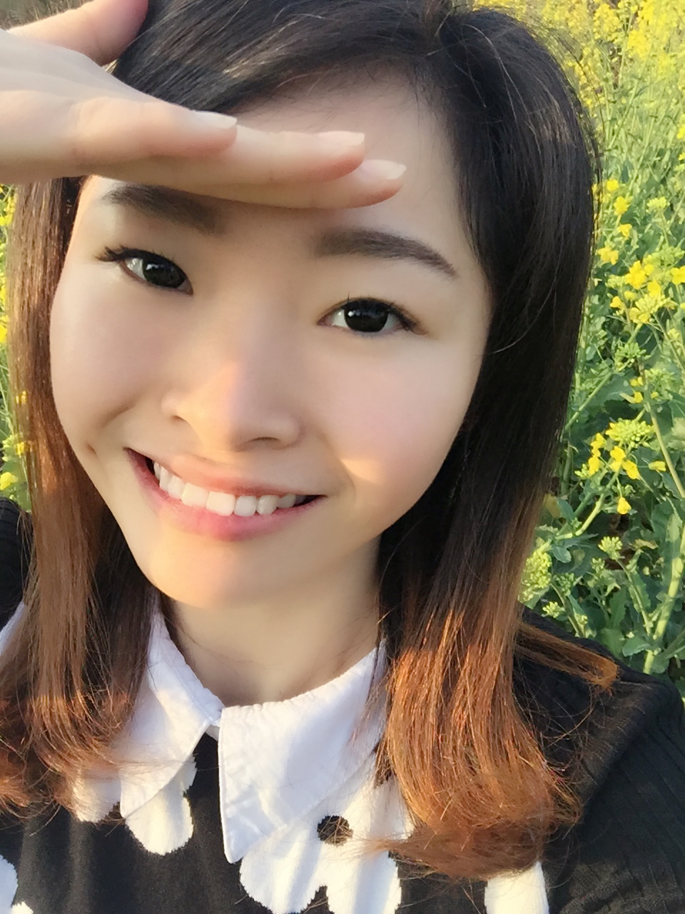 樊婷婷的个人简历-南充人才网